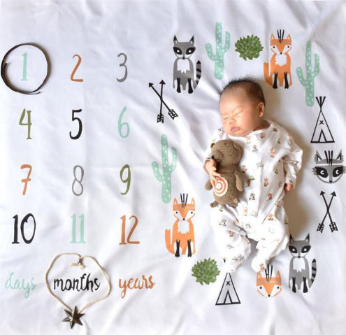 Milestone Photo Background Blankets