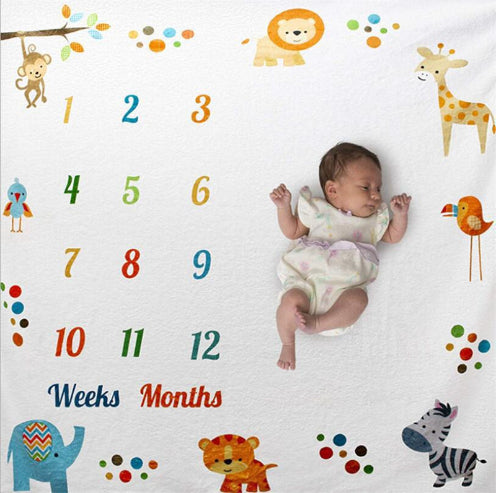 Milestone Photo Background Blankets